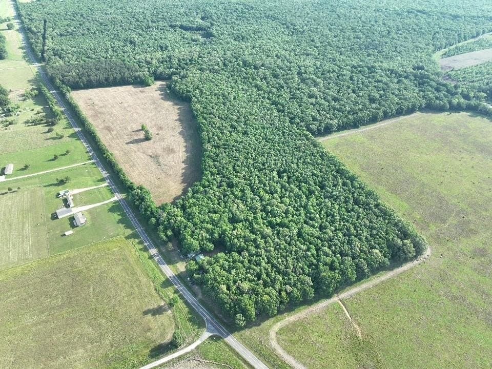 102.04 acres in Red River (TX) County gallery image 3