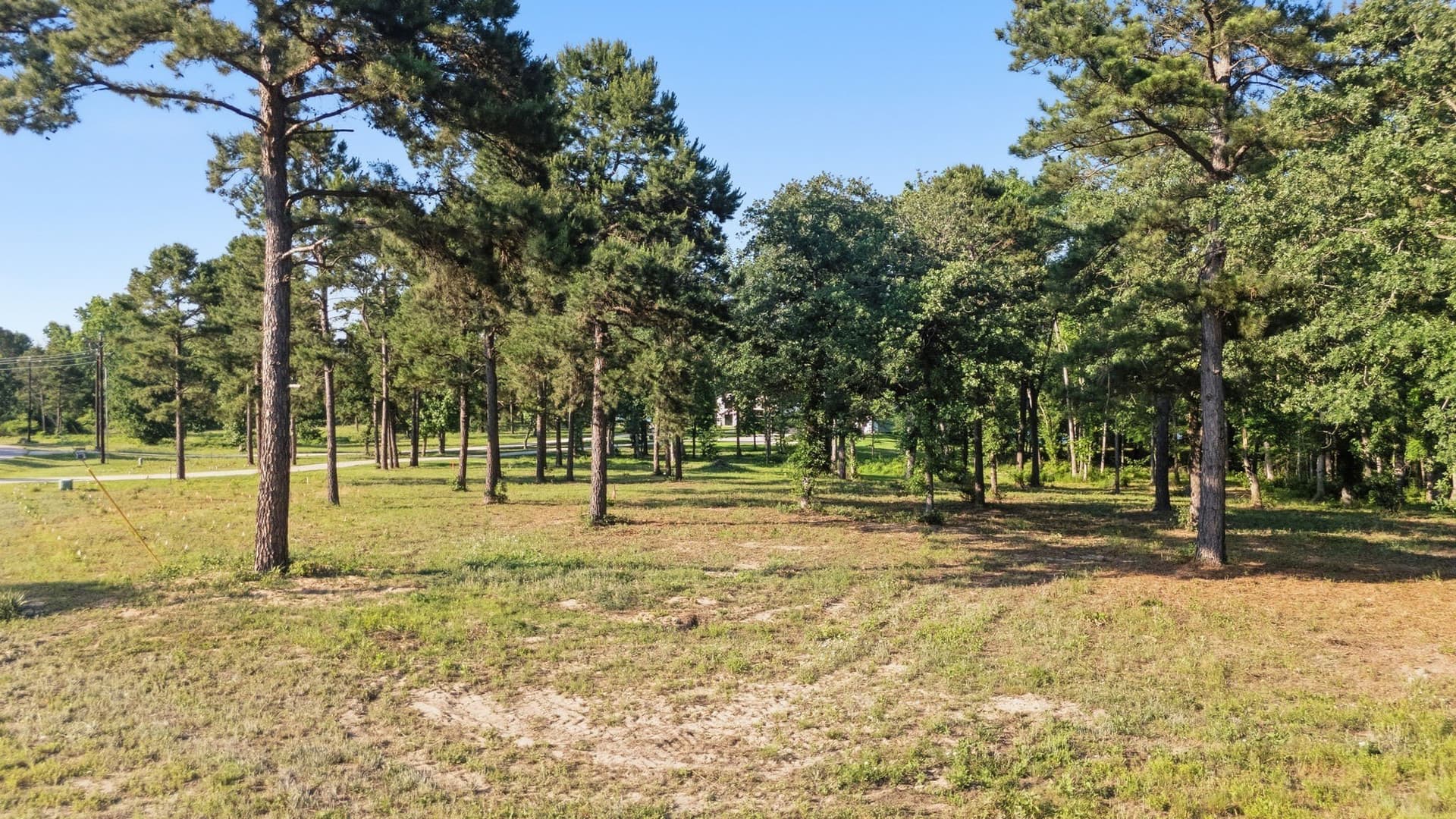1.3 acres in Henderson County - photo 4