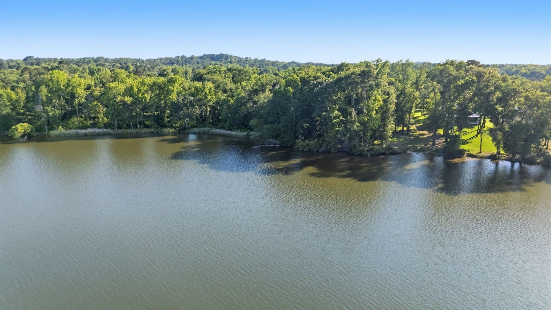 1.3 acres in Henderson County - photo 9