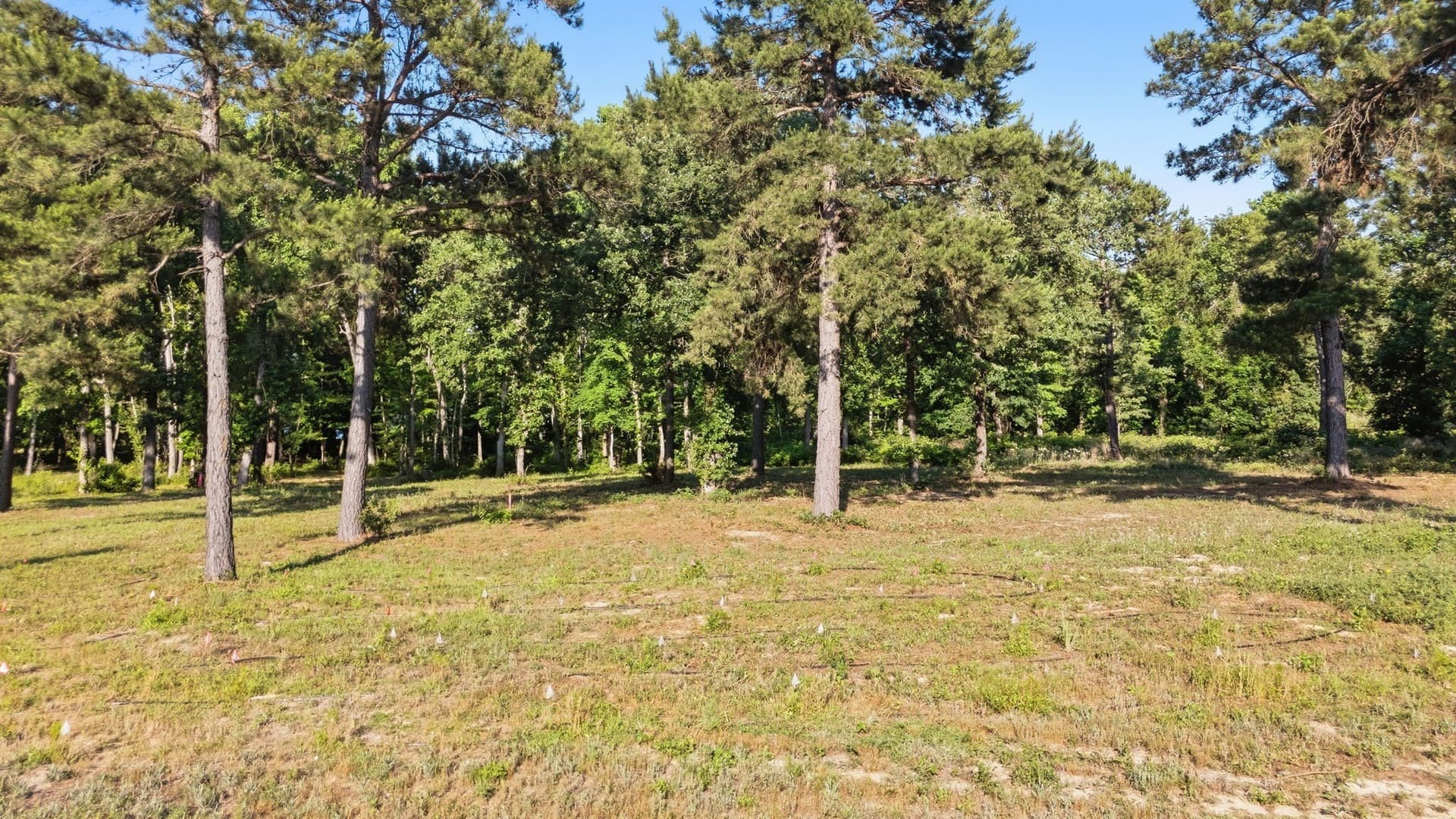 1.3 acres in Henderson County - photo 5