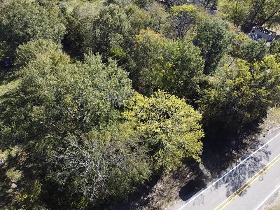 0.7 acres in Wood County - photo 6