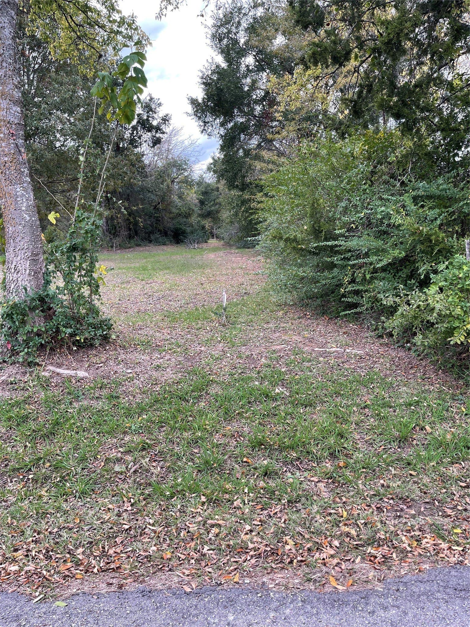0.7 acres in Wood County - photo 2
