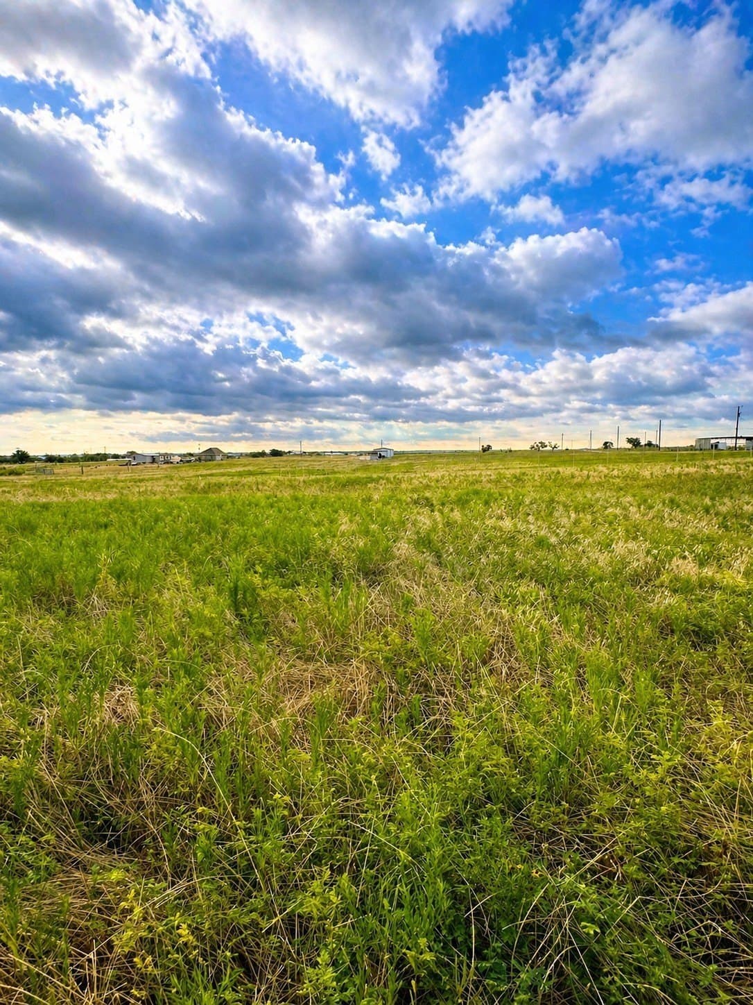 4.02 acres in Grayson County gallery image 2