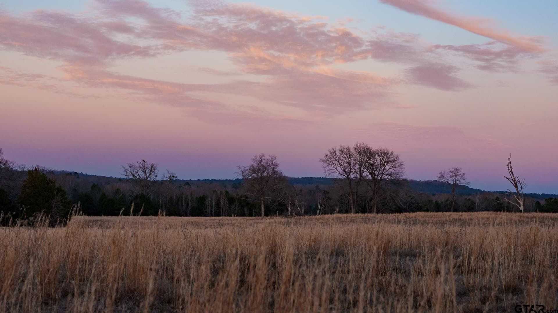 546.5 acres in Smith County gallery image 4