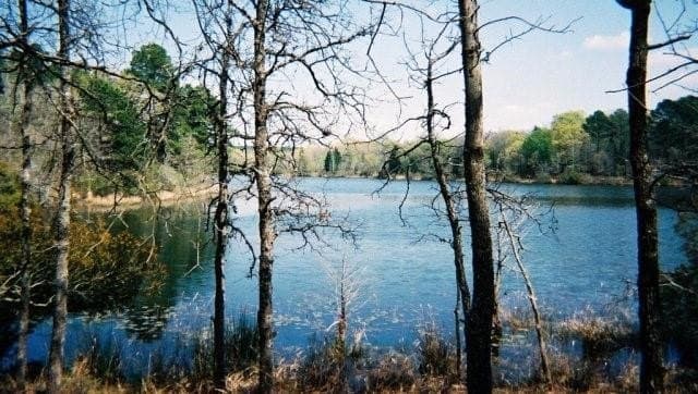 1.01 acres in Henderson County