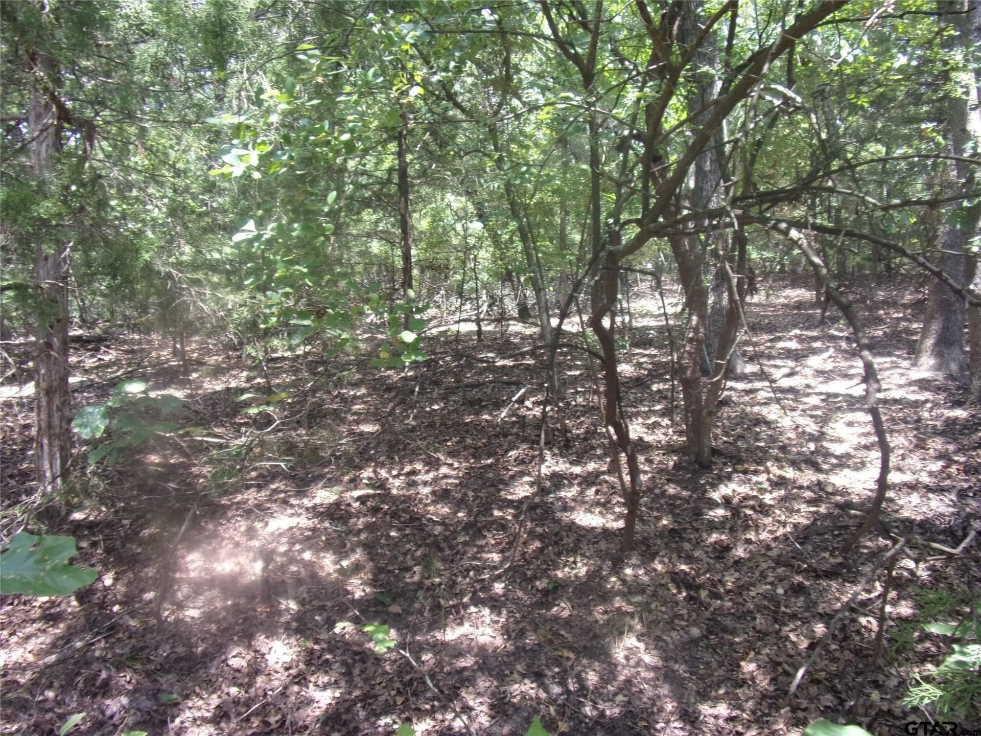 0.21 acres in Van Zandt County featured view