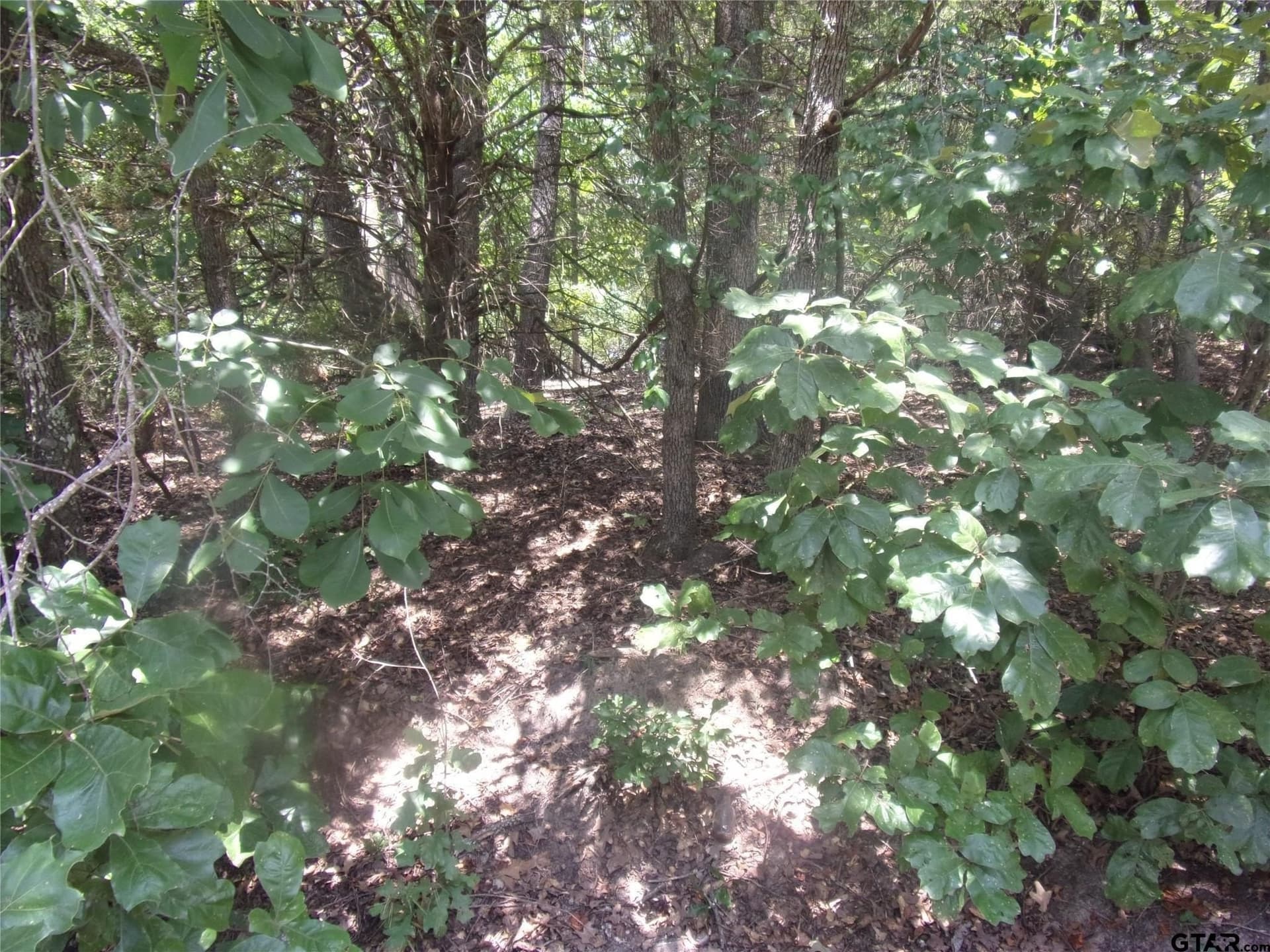 0.21 acres in Van Zandt County gallery image 3