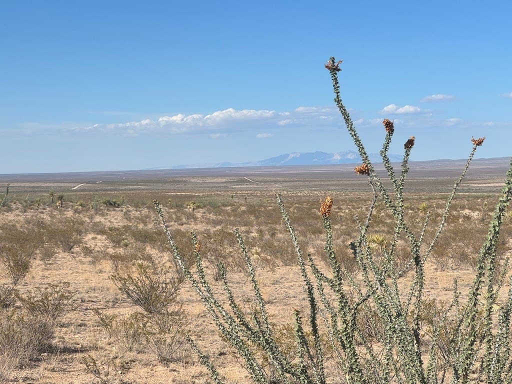 20 acres in Hudspeth County - photo 15