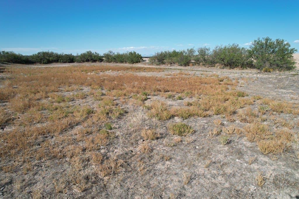 20 acres in Hudspeth County - photo 11