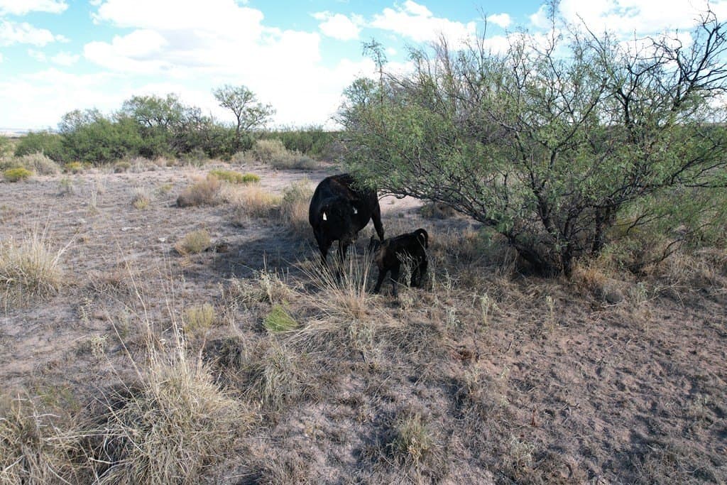 20 acres in Hudspeth County - photo 13