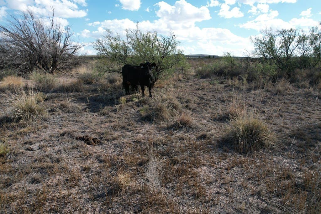 20 acres in Hudspeth County - photo 12