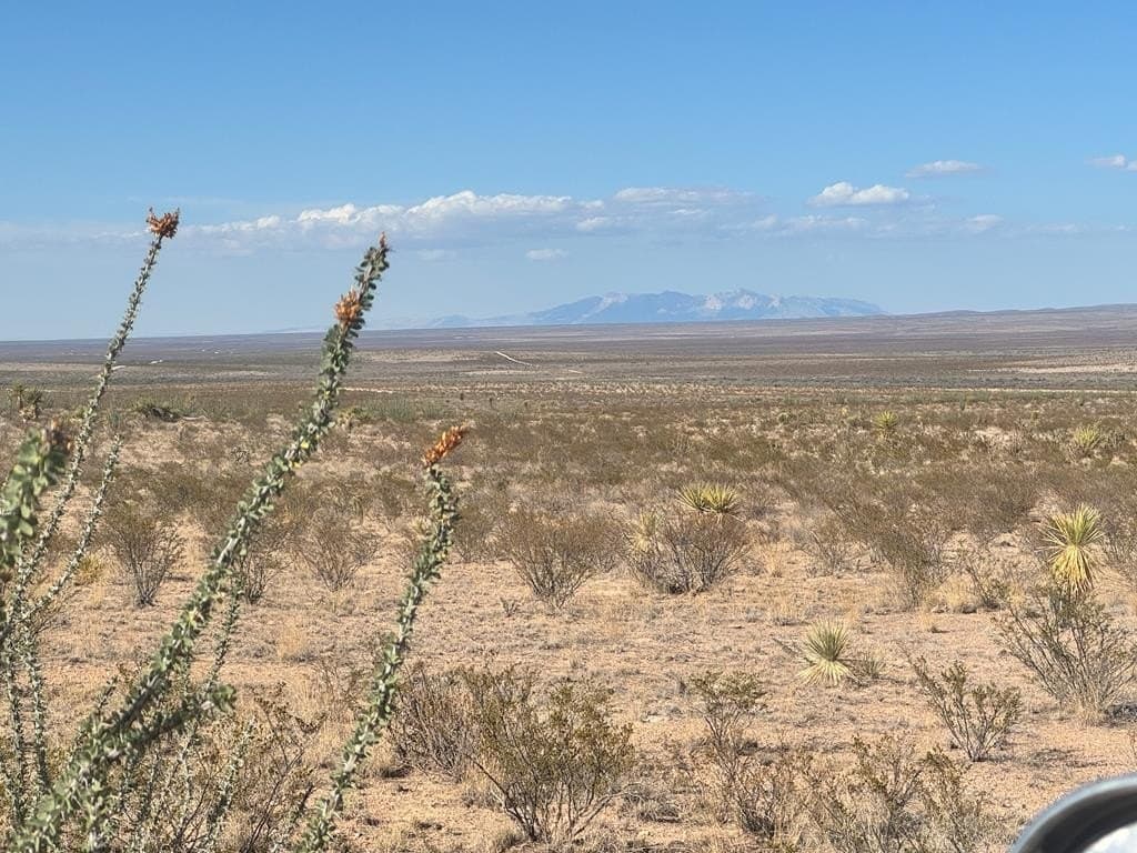 20 acres in Hudspeth County gallery image 2