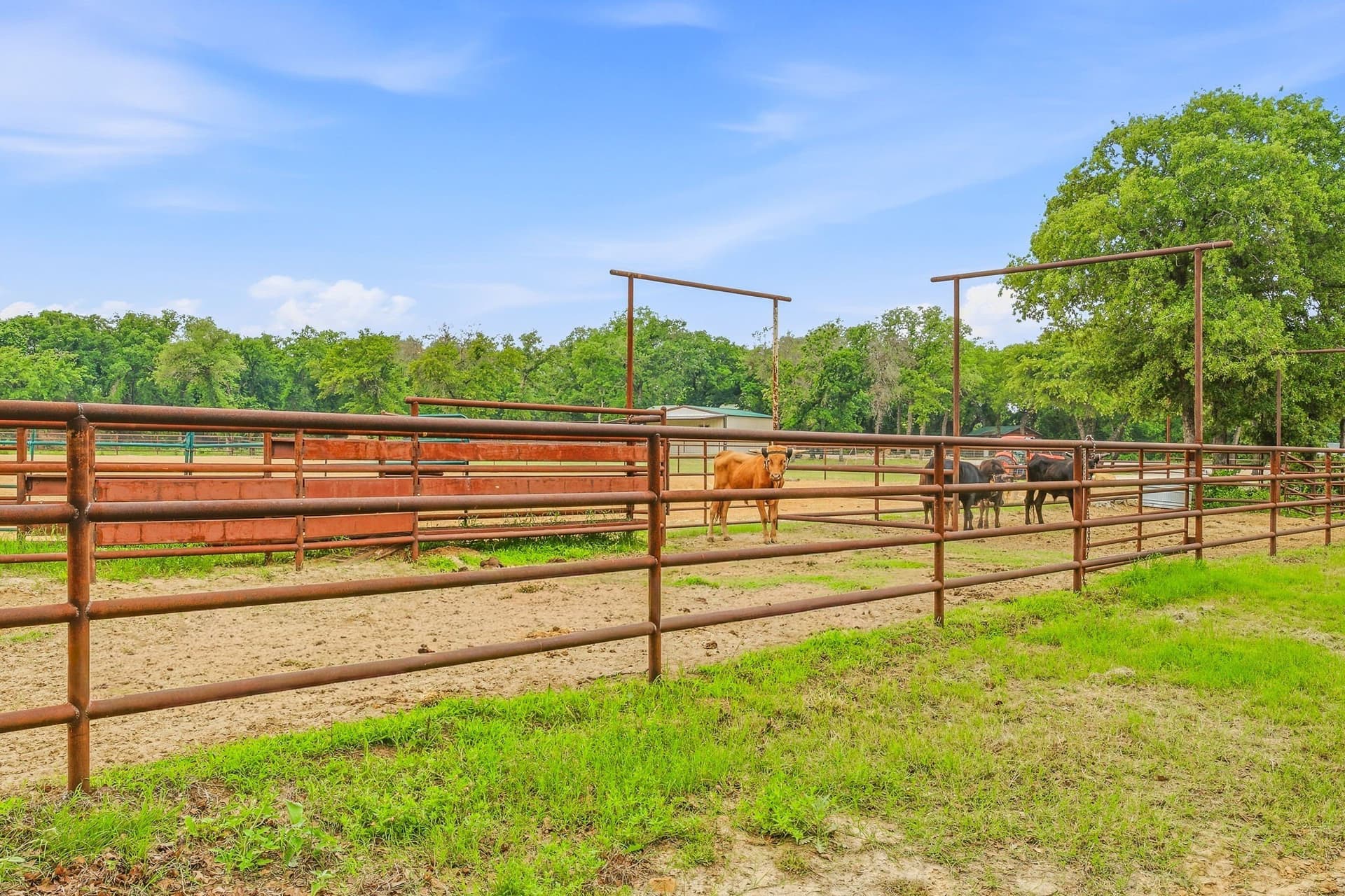 30 acres in Erath County - photo 31