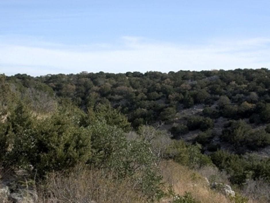 102.04 acres in Val Verde County gallery image 4