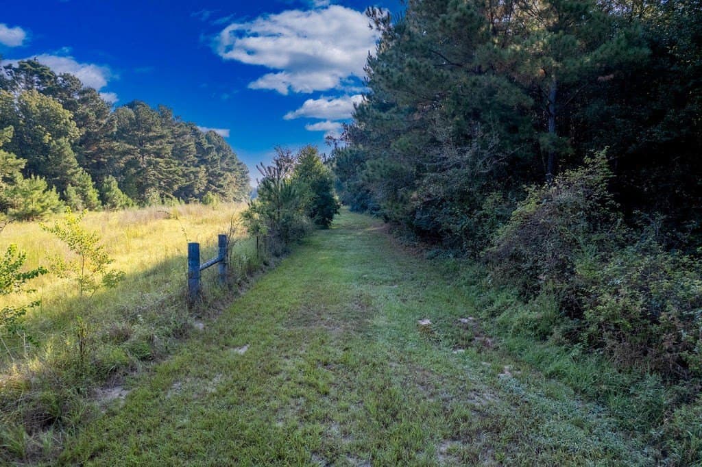 39.96 acres in ANDERSON County gallery image 4