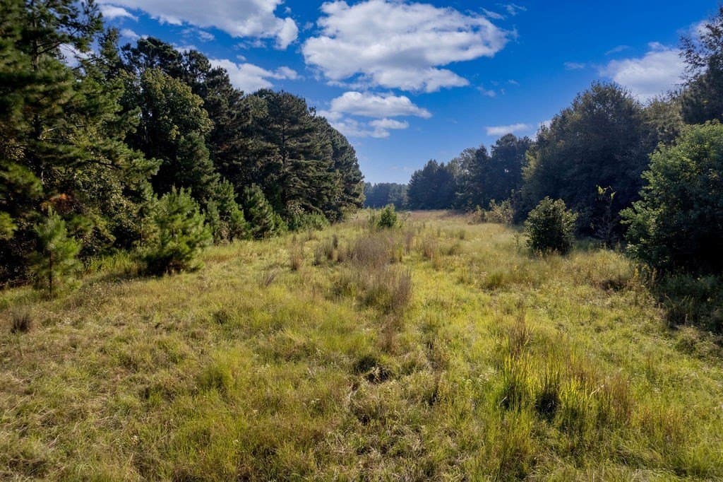 39.96 acres in ANDERSON County featured view