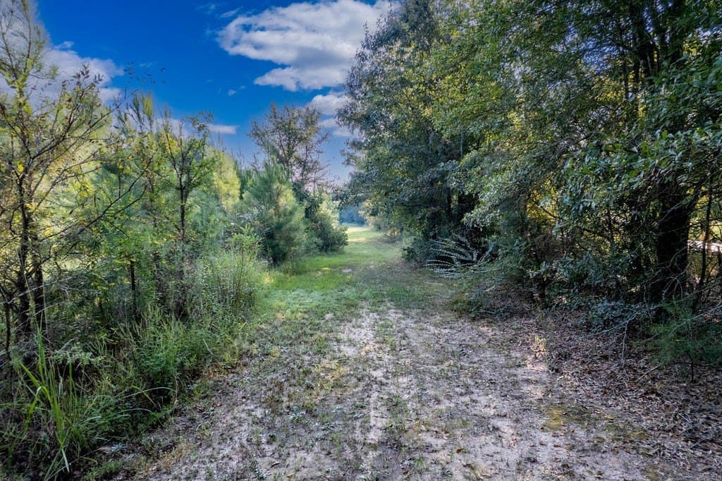 39.96 acres in ANDERSON County gallery image 2