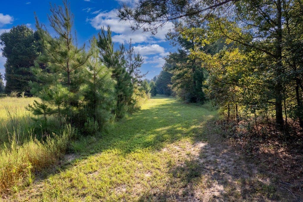 39.96 acres in ANDERSON County gallery image 3