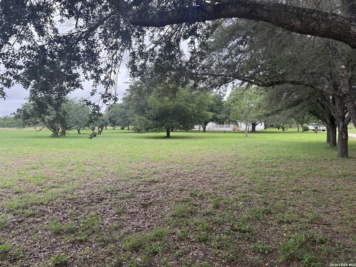 10 acres in Wilson County