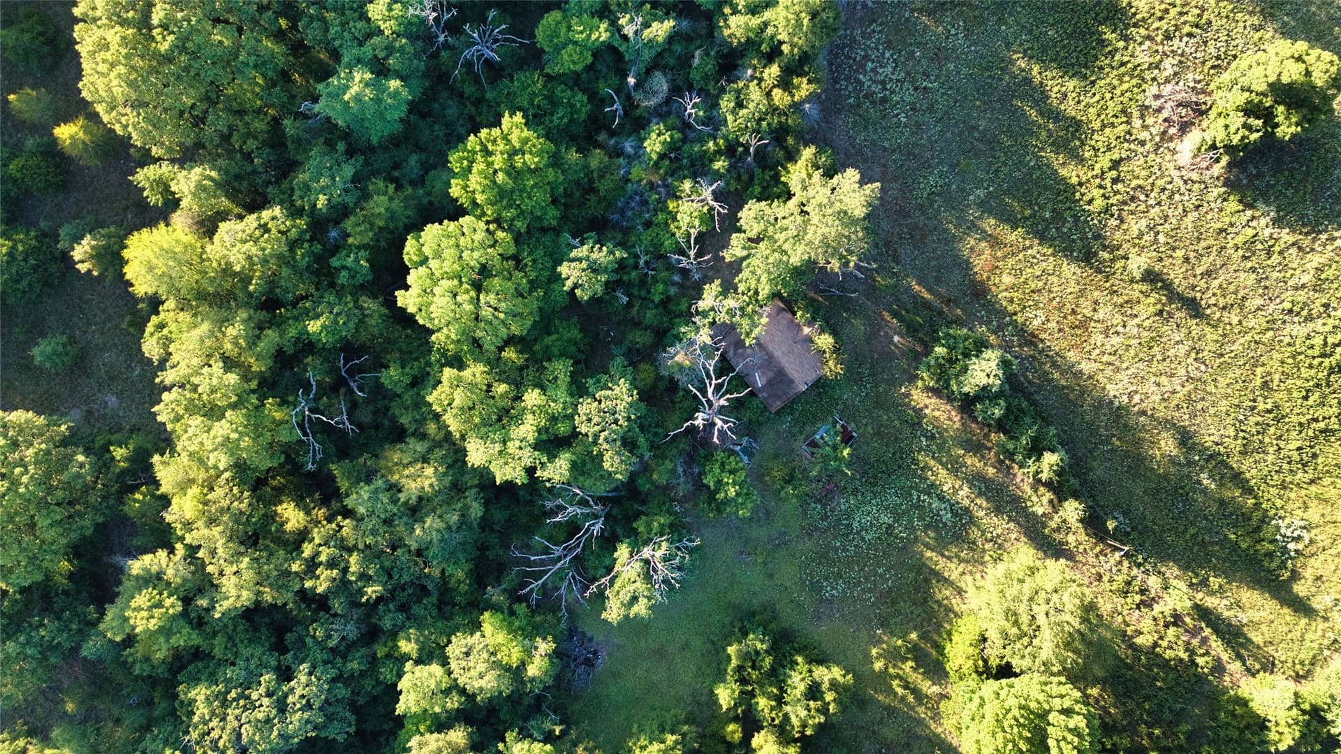 24.13 acres in Anderson County - photo 9