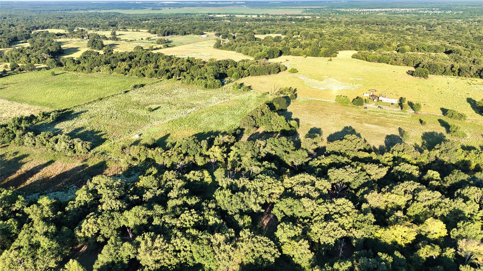 24.13 acres in Anderson County - photo 7