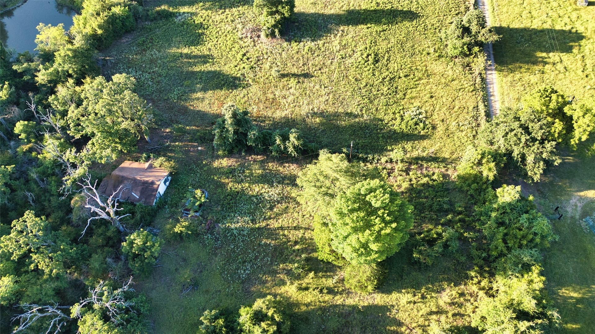 24.13 acres in Anderson County - photo 11