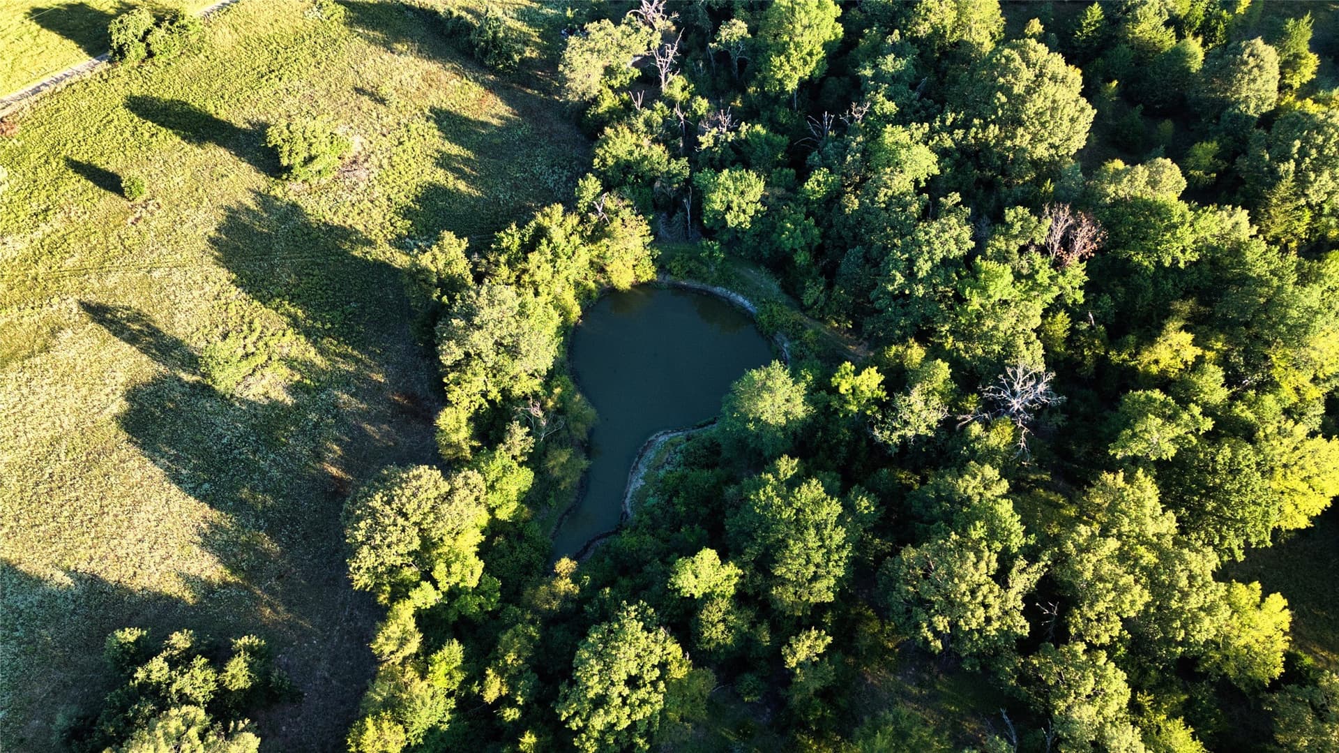 24.13 acres in Anderson County - photo 10