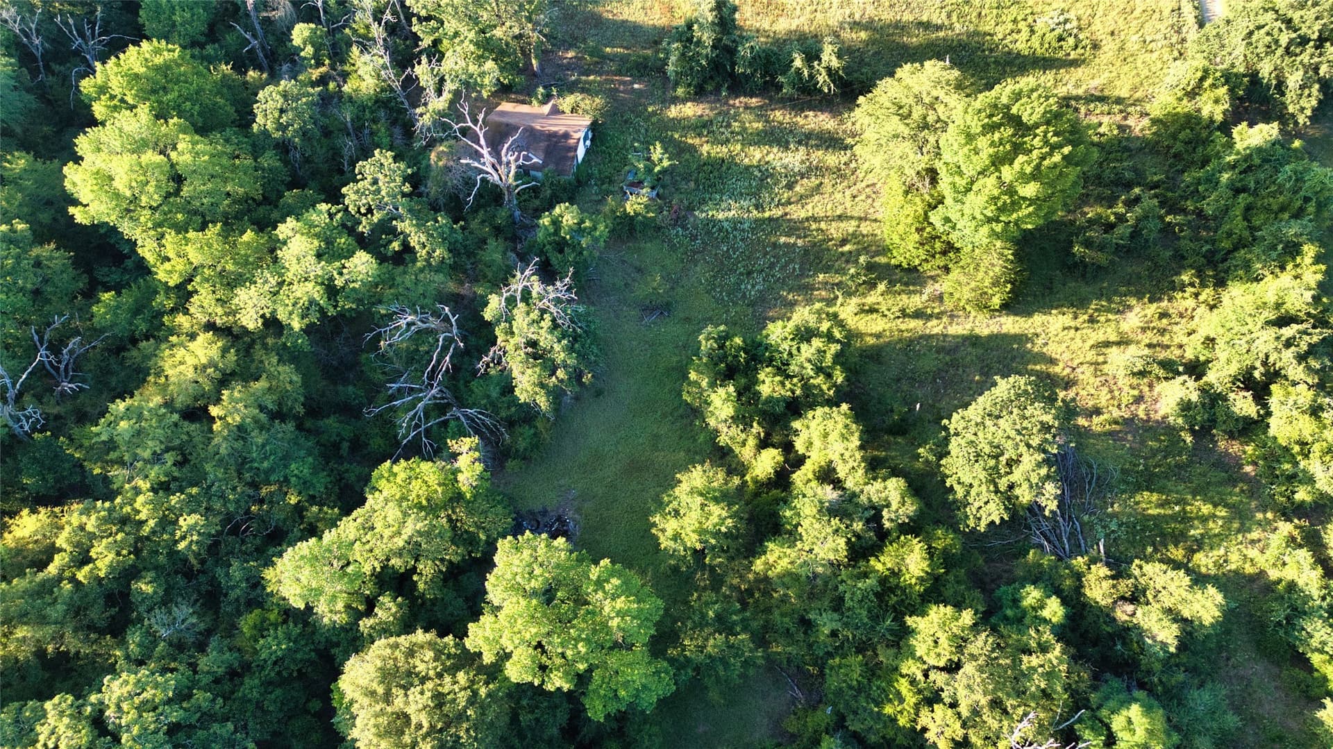 24.13 acres in Anderson County - photo 12