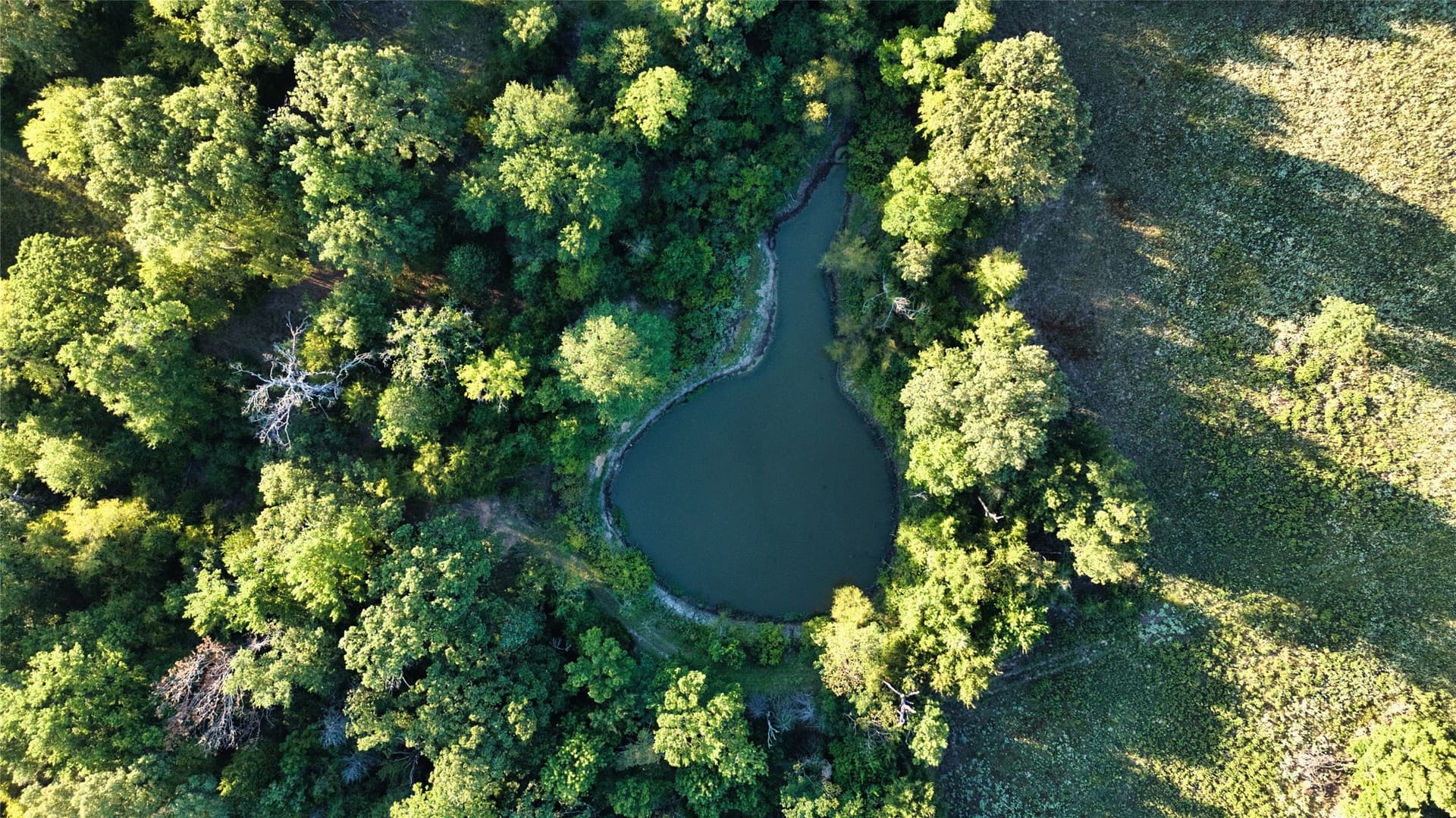 24.13 acres in Anderson County
