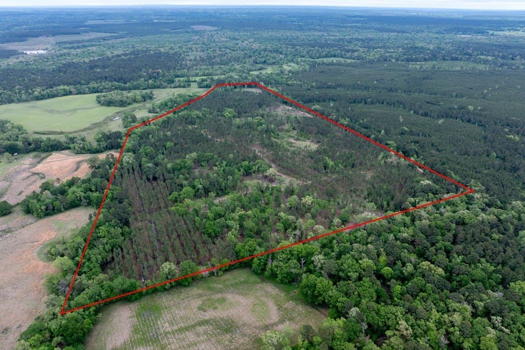 109.88 acres in HOUSTON County featured view