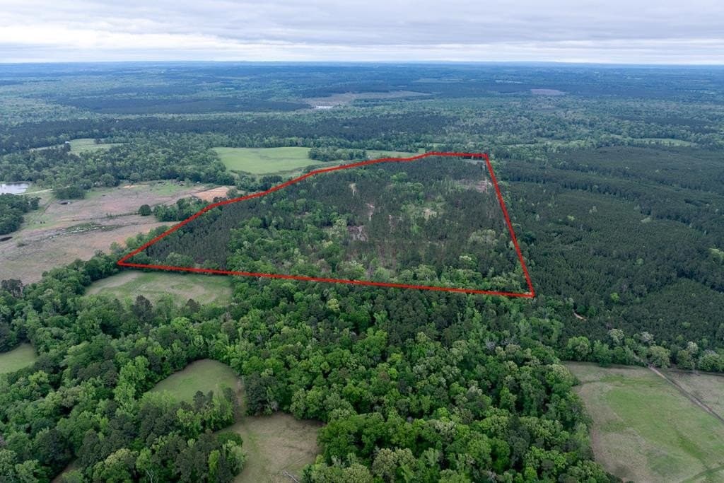109.88 acres in HOUSTON County
