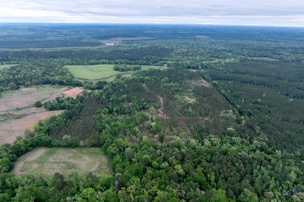 109.88 acres in HOUSTON County gallery image 4