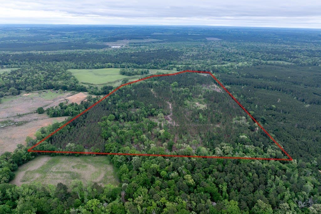 109.88 acres in HOUSTON County gallery image 3