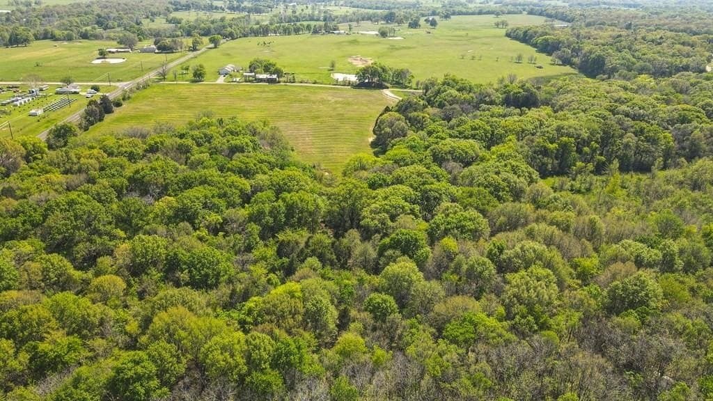 25 acres in Van Zandt County - photo 20