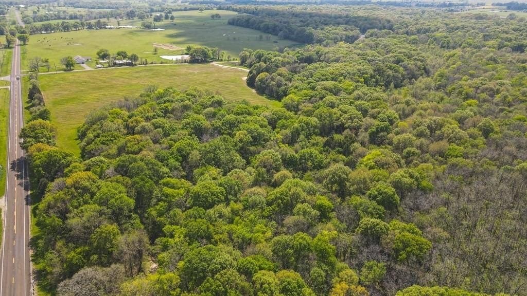 25 acres in Van Zandt County - photo 21