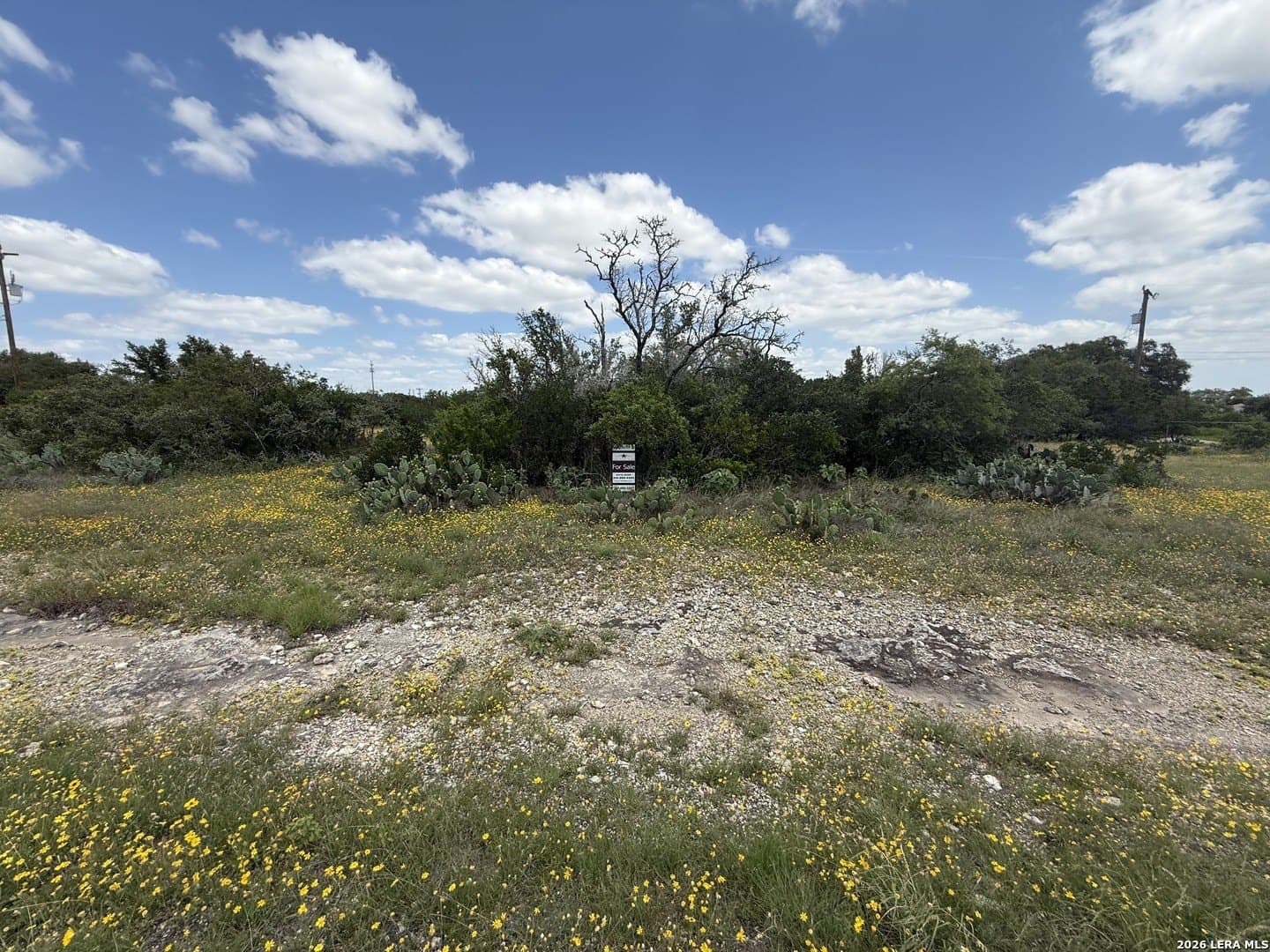 2 acres in Bexar County gallery image 4