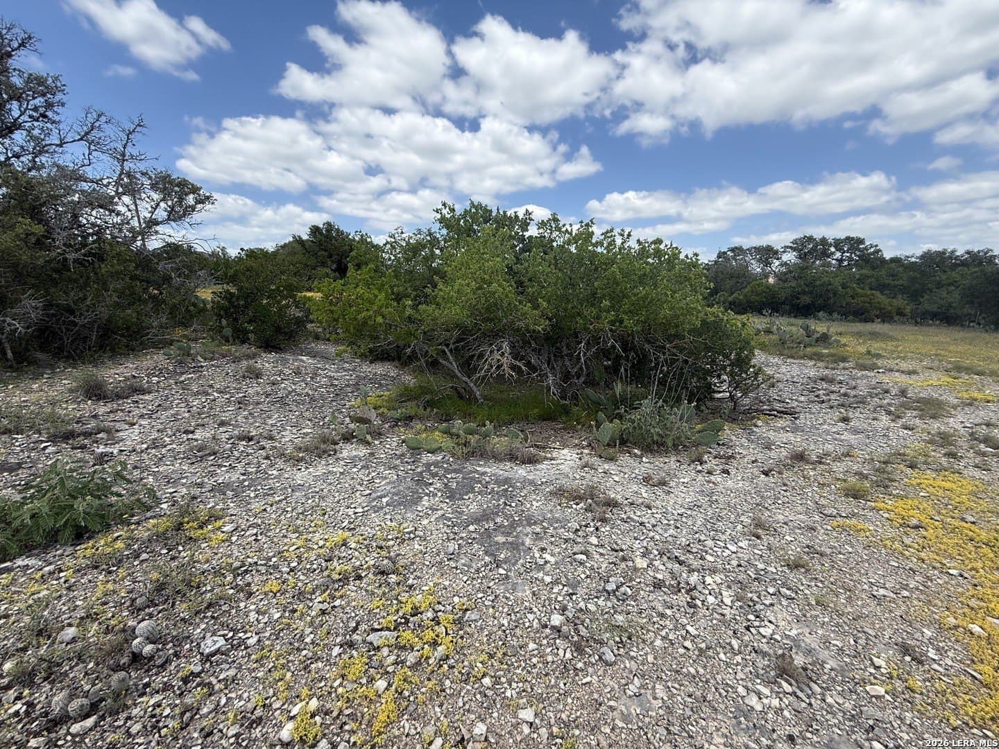 2 acres in Bexar County - photo 6