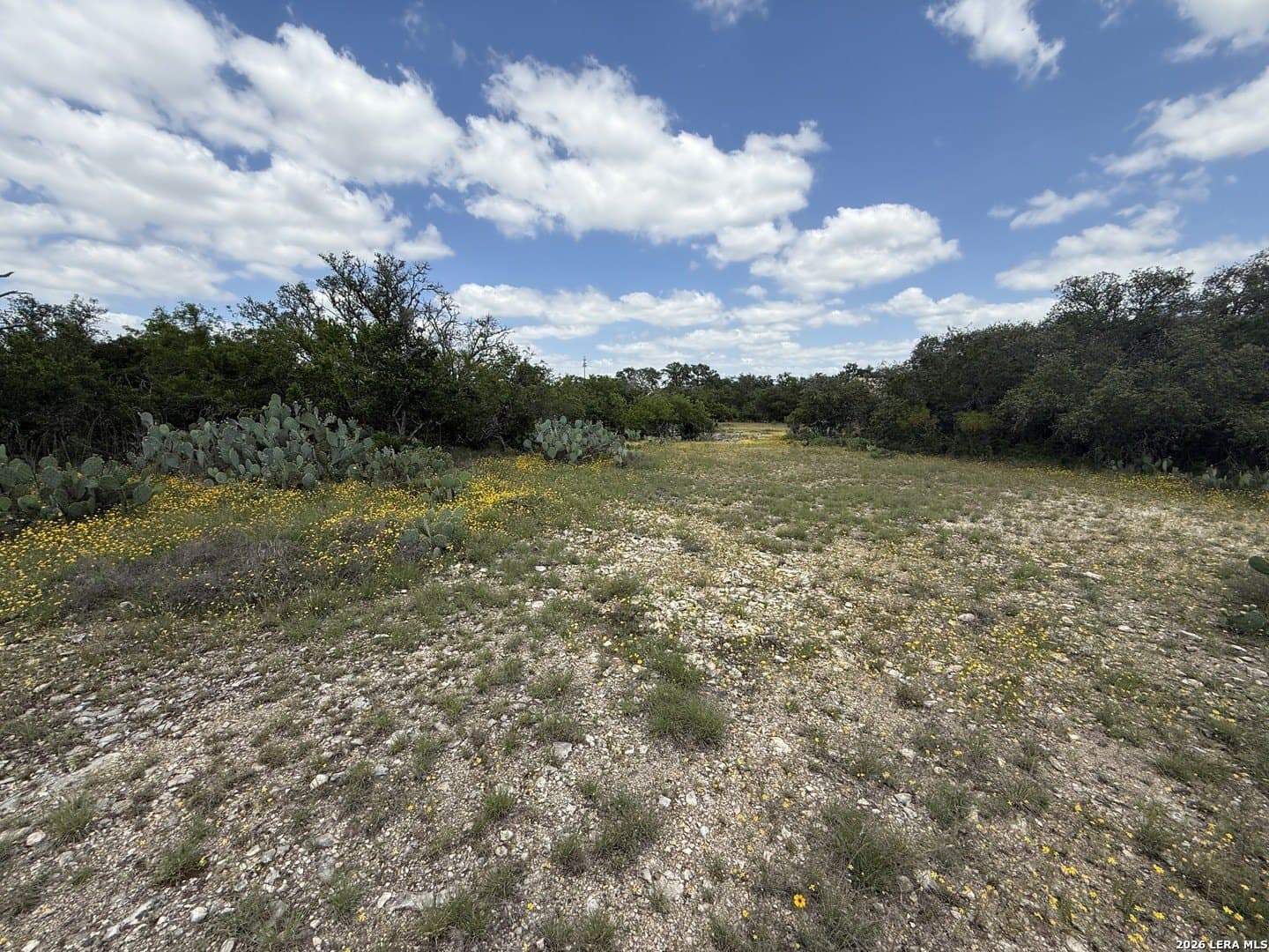2 acres in Bexar County gallery image 2
