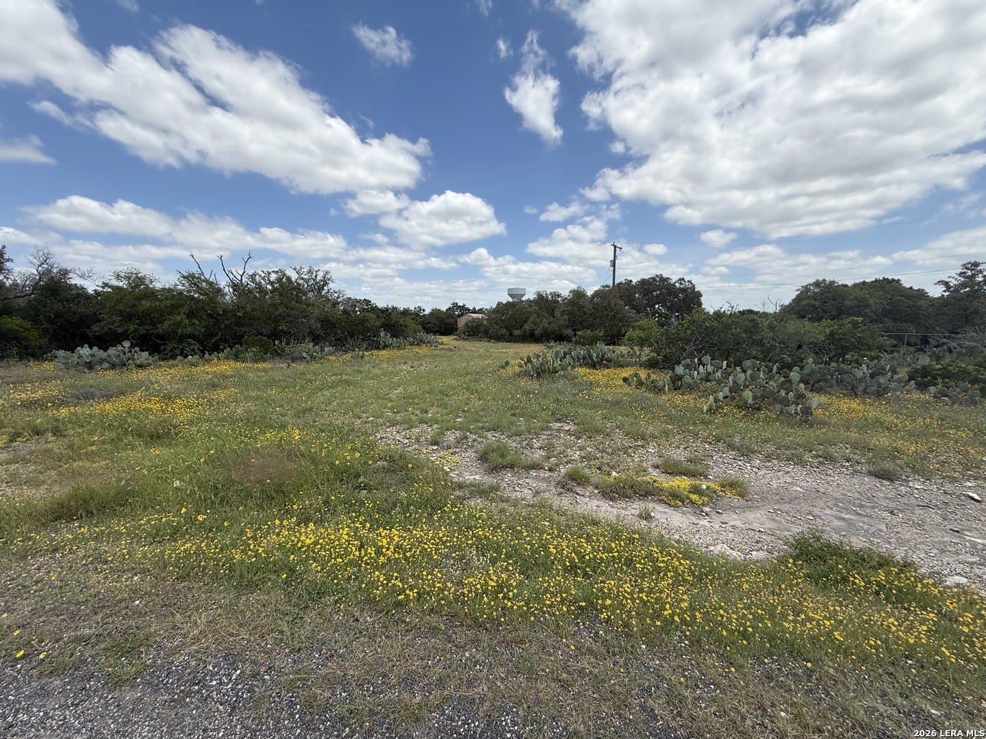 2 acres in Bexar County gallery image 3