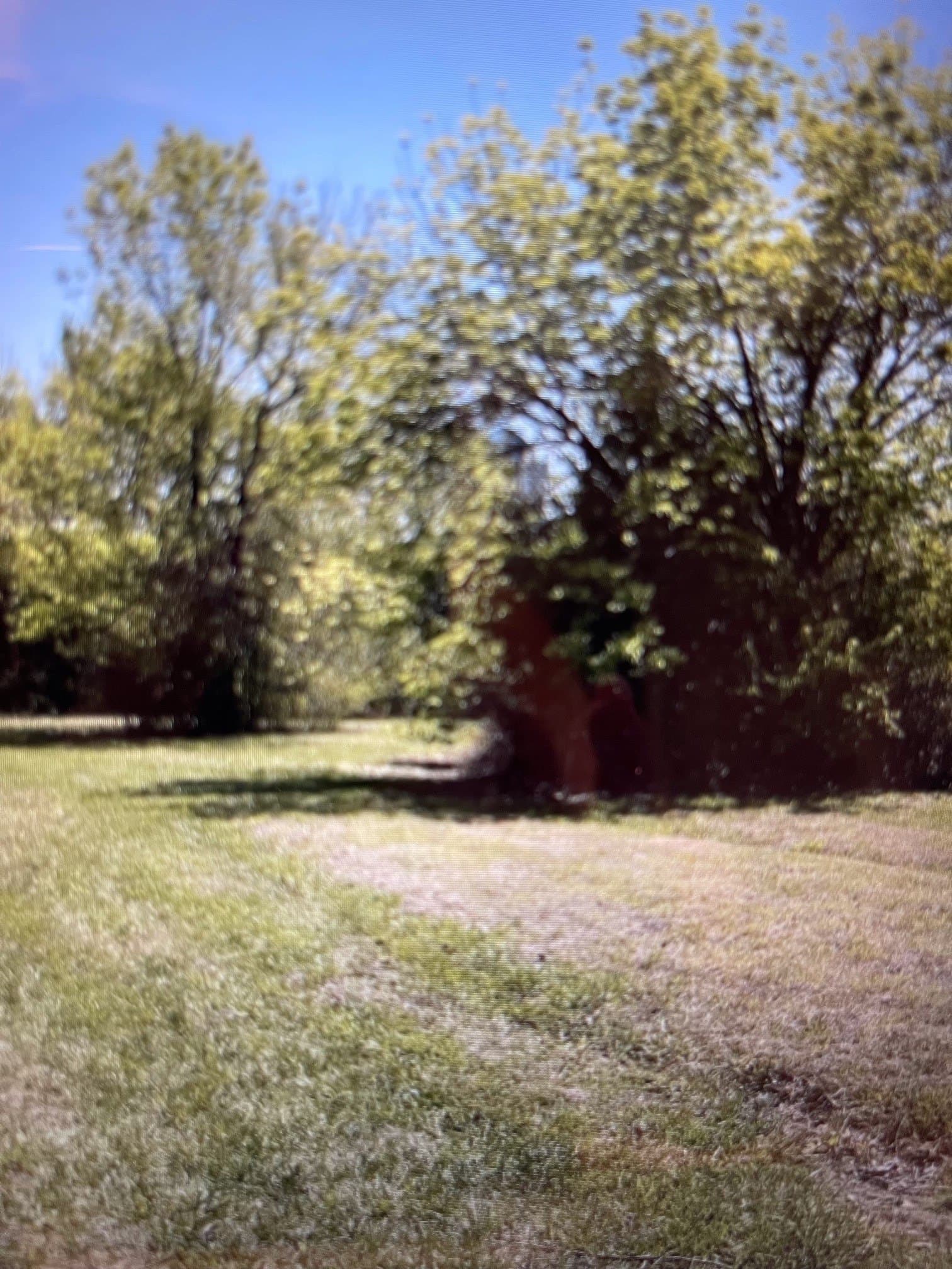 0.7 acres in Grayson County - photo 5