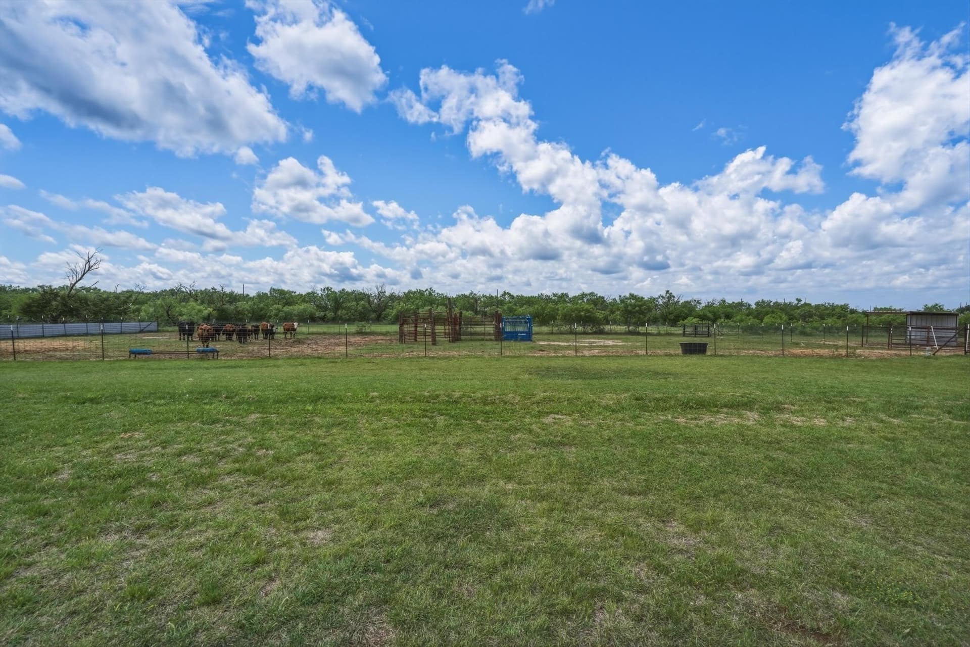 10 acres in Taylor County - photo 5