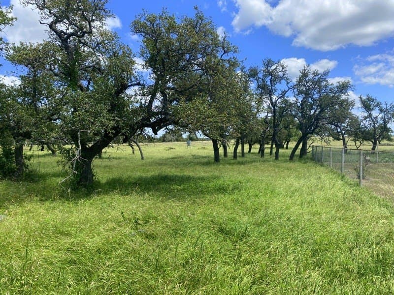 16.35 acres in Kerr County - photo 13