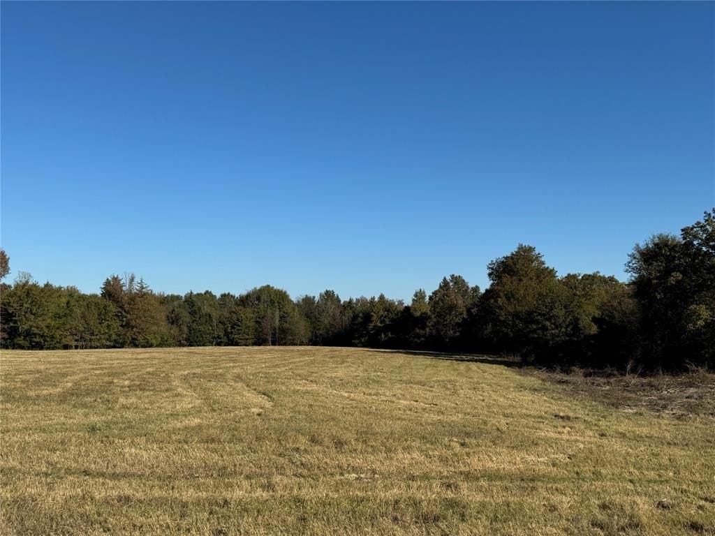 42.82 acres in Hopkins County gallery image 4