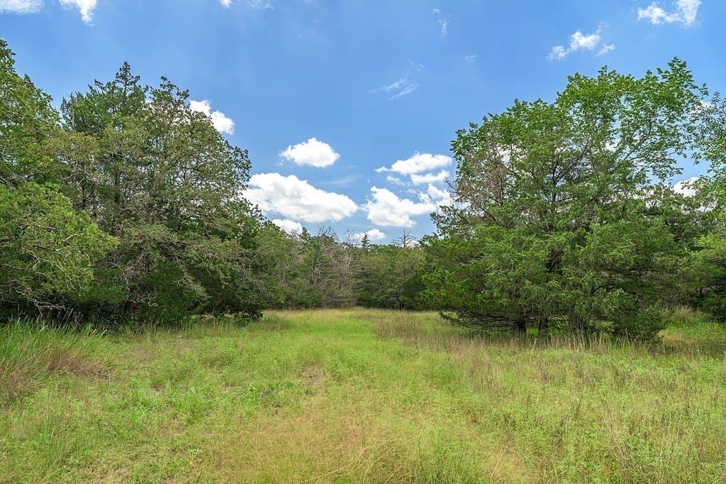 35.1 acres in Fayette County gallery image 4