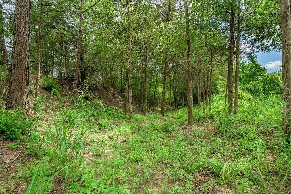 35.1 acres in Fayette County gallery image 2