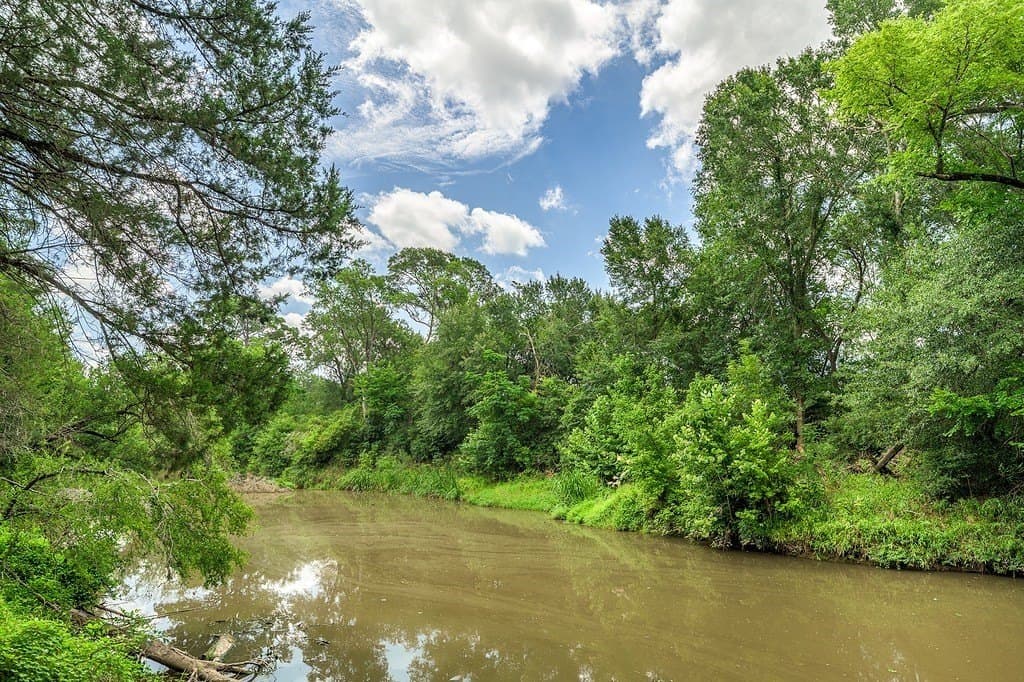 35.1 acres in Fayette County gallery image 3