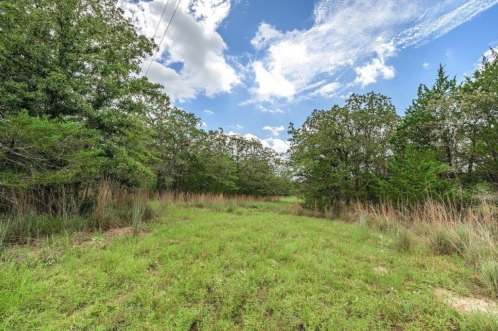 35.1 acres in Fayette County featured view