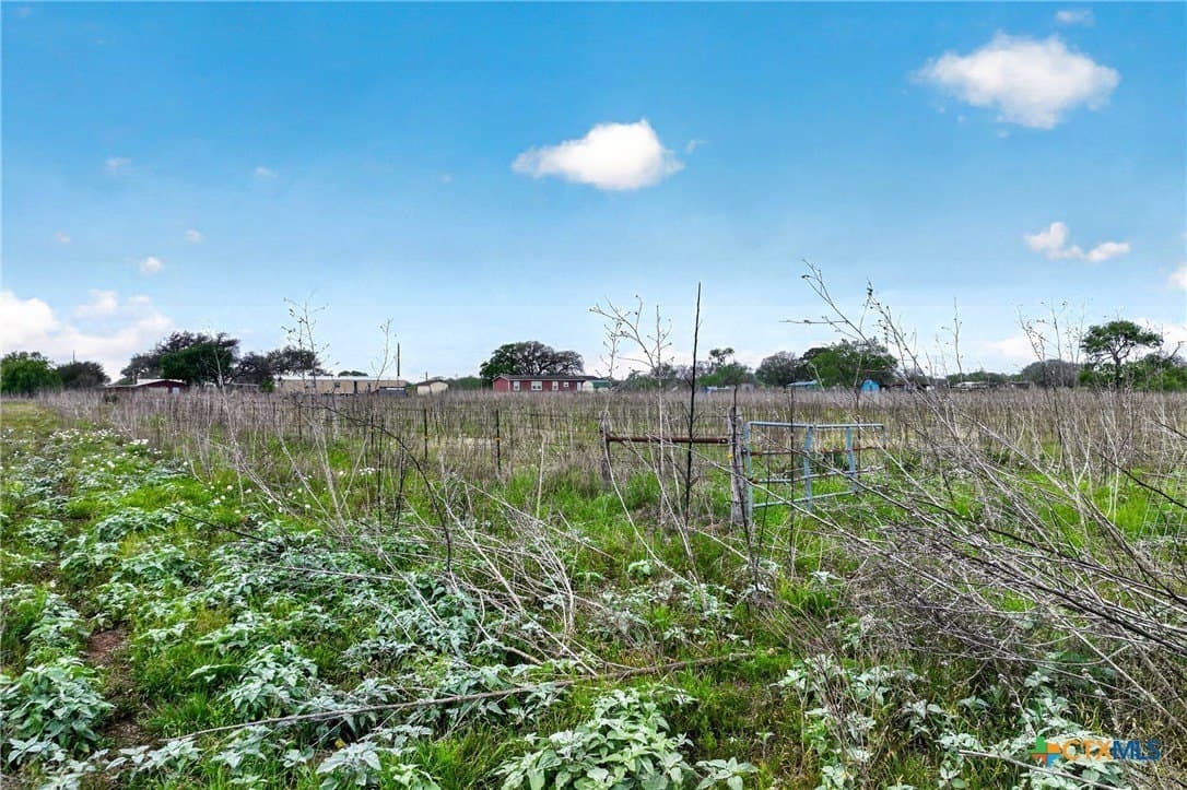 30.07 acres in Gonzales County - photo 10