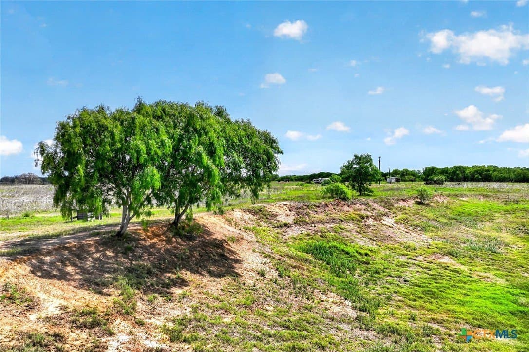 30.07 acres in Gonzales County - photo 19
