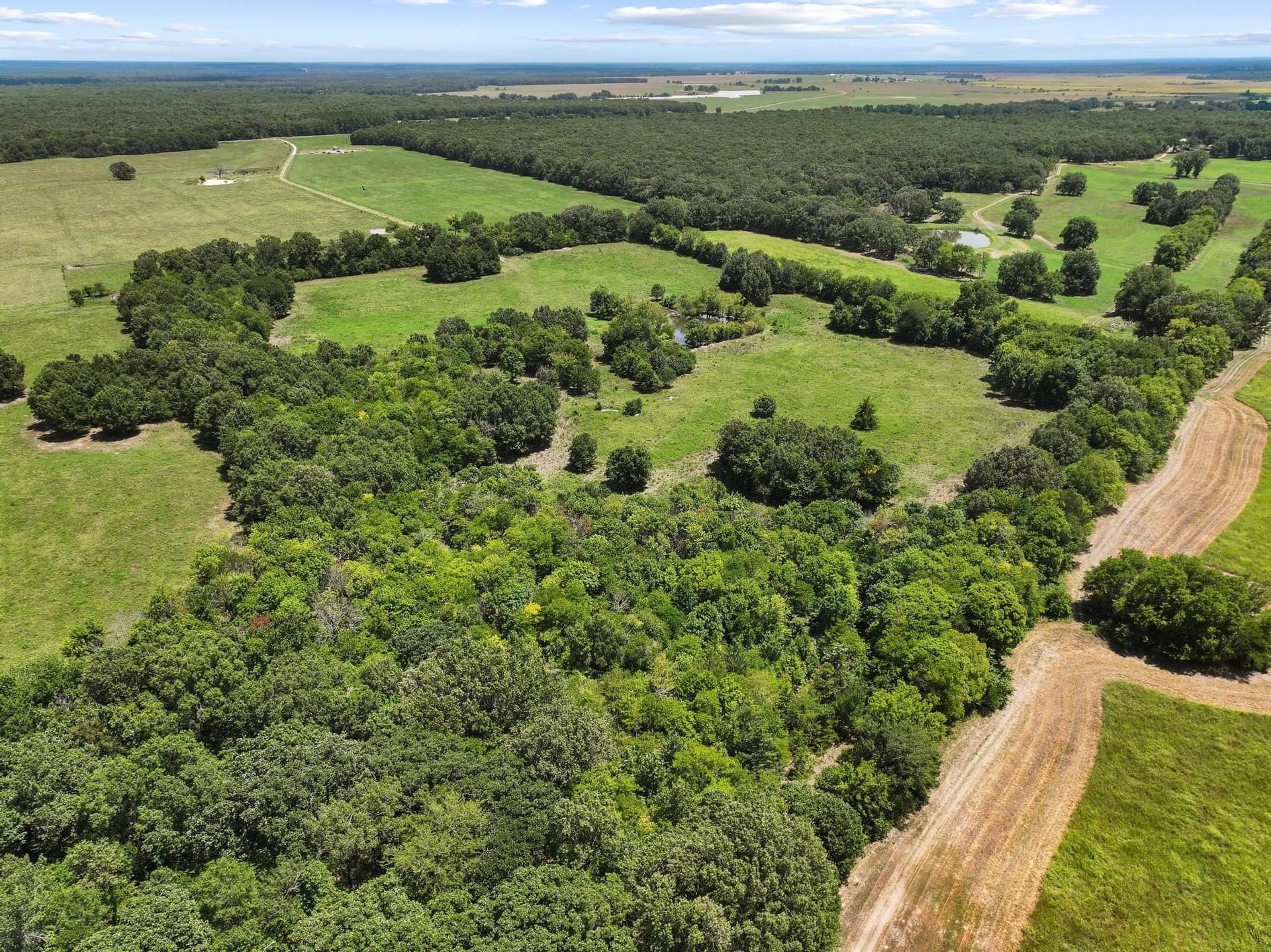 227.1 acres in Red River (TX) County - photo 12